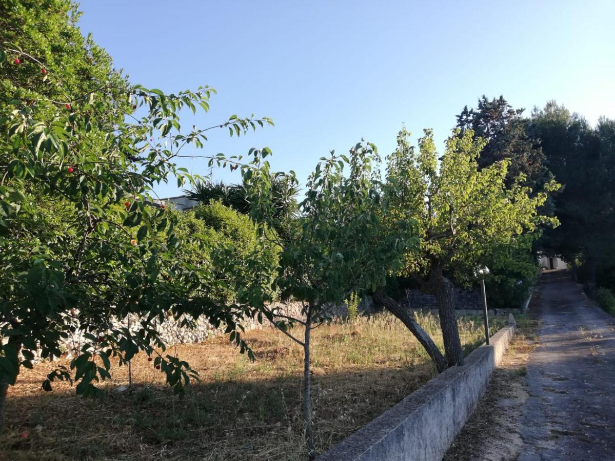 Ciao B&B Selva Di Fasano Eksteriør billede